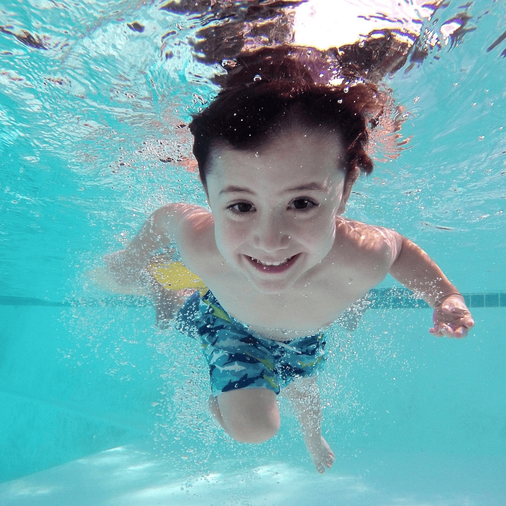 Regionale Umsetzung bei WasserChampions