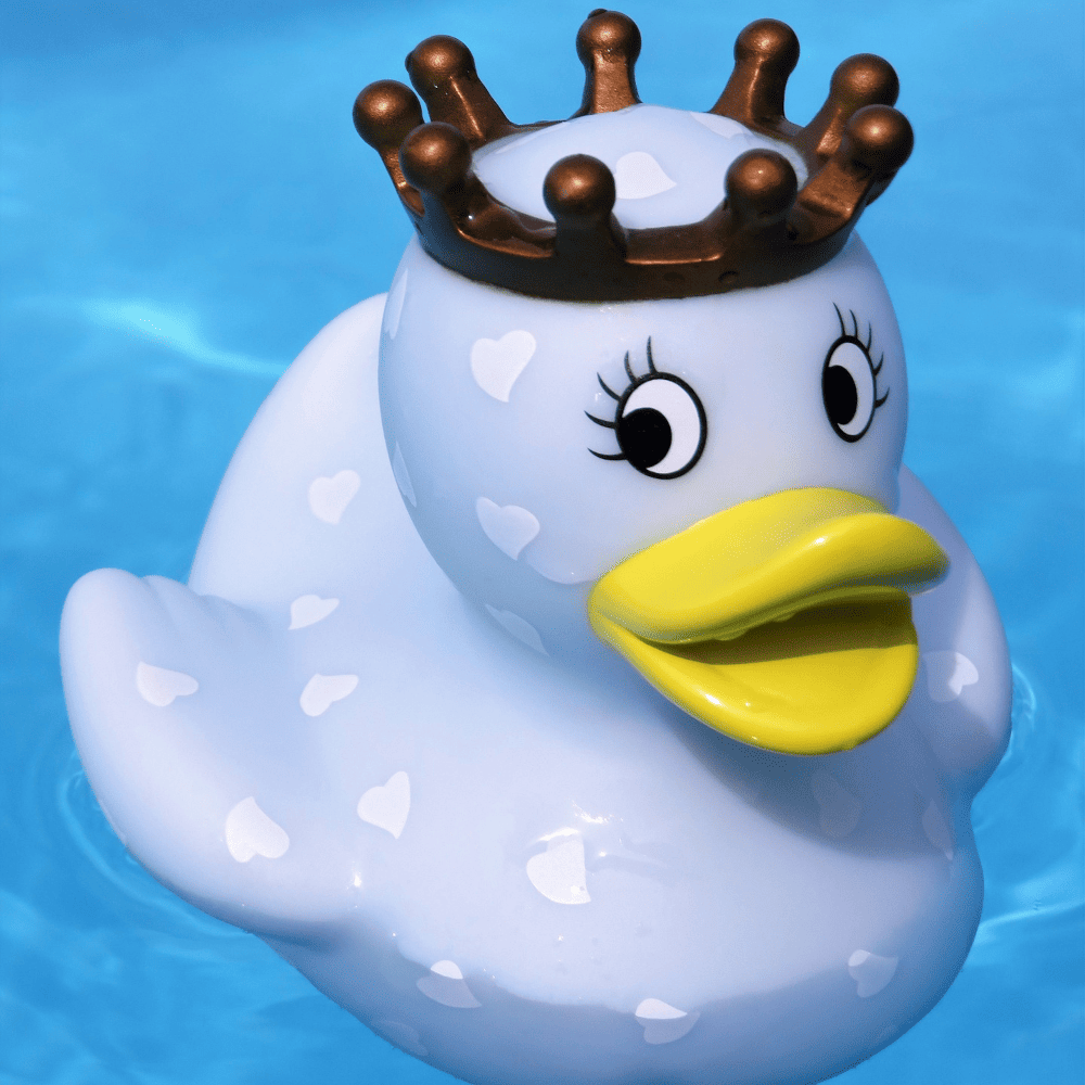 Allgemeine Anfrage WasserChampions